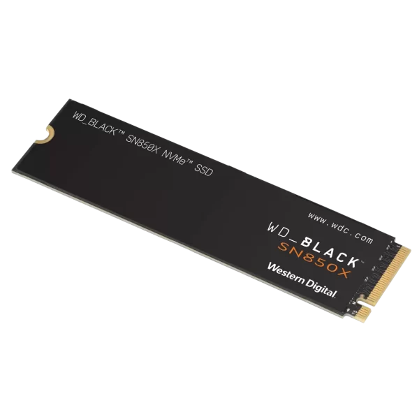 WDS100T2X0E