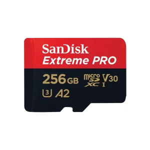 SDSQXCD-256G-GN6MA