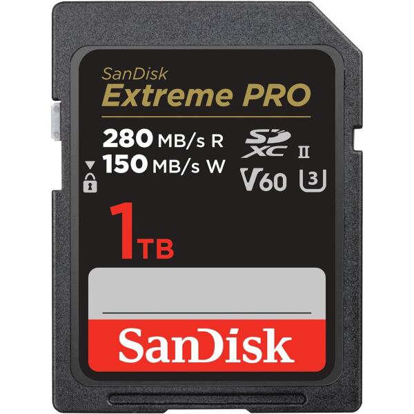 SDSDXEP-1T00-GN4IN