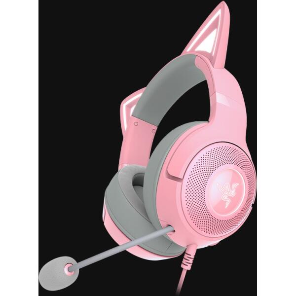 RZ04-04730200 - Image 2