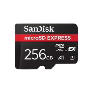 SDSQXFN-256G-GN4NN