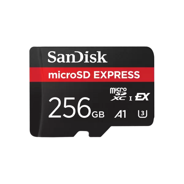 SDSQXFN-256G-GN4NN