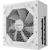 GP-UD850GM-PG5-ICE