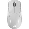 CH-931D01F-AP(M75-WL-FT-WH-RGB)